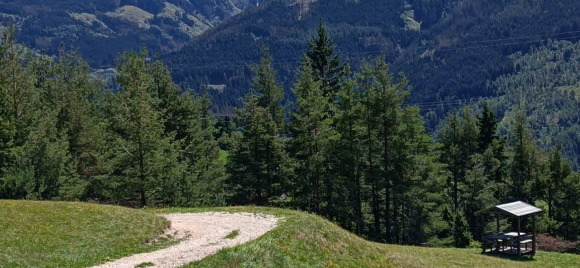 Sentiero Trentino